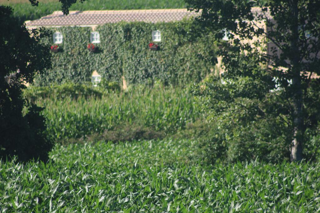 Casa Do Moinho Konuk evi Ovar Dış mekan fotoğraf