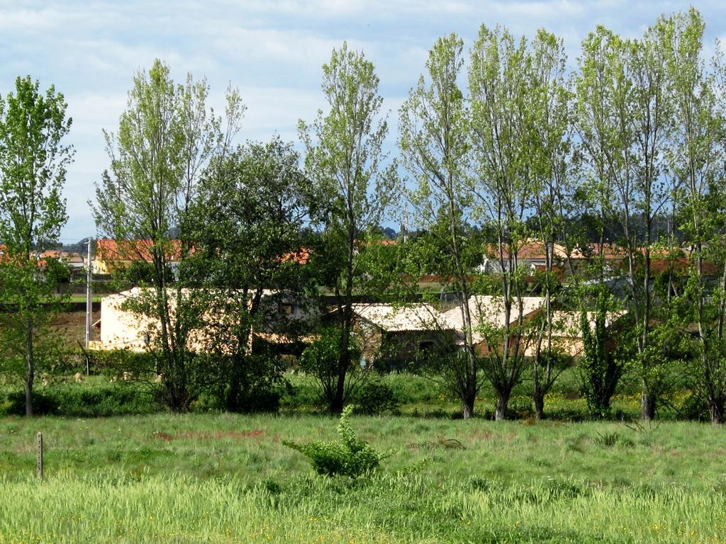 Casa Do Moinho Konuk evi Ovar Dış mekan fotoğraf