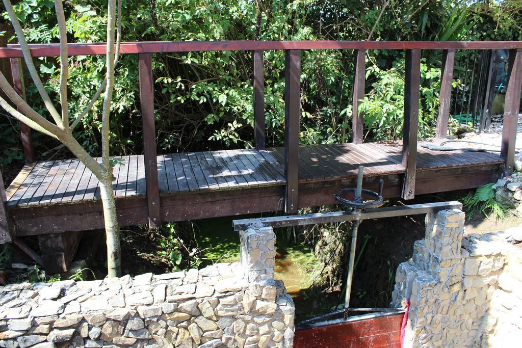 Casa Do Moinho Konuk evi Ovar Dış mekan fotoğraf